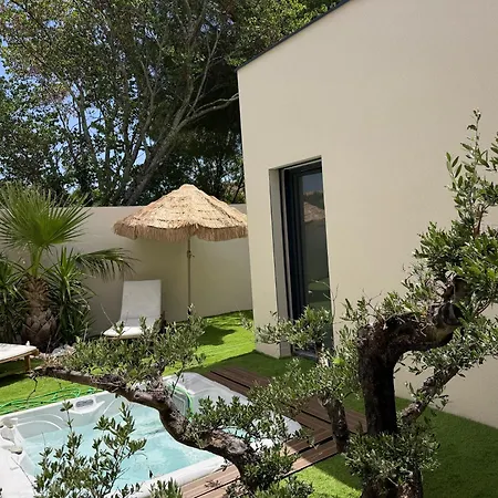 Palmeraie 240m2 Piscine Jacuzzi Villa